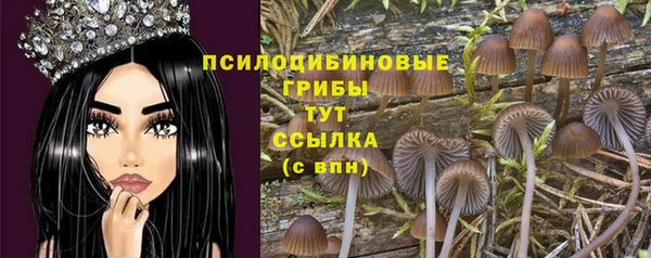 spice Майский