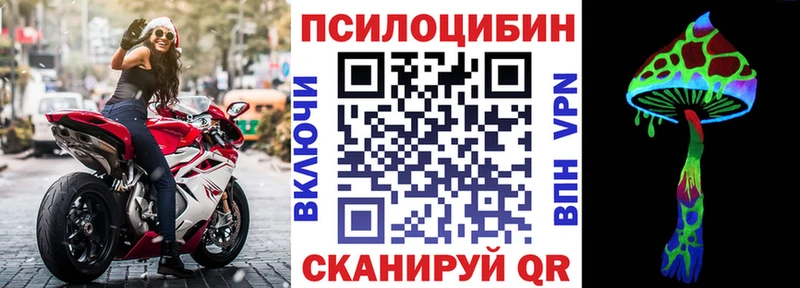 Купить закладки  Иланский  Псилоцибиновые грибы мицелий 