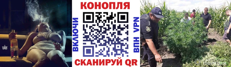 Бошки марихуана OG Kush  Купить  Иланский 